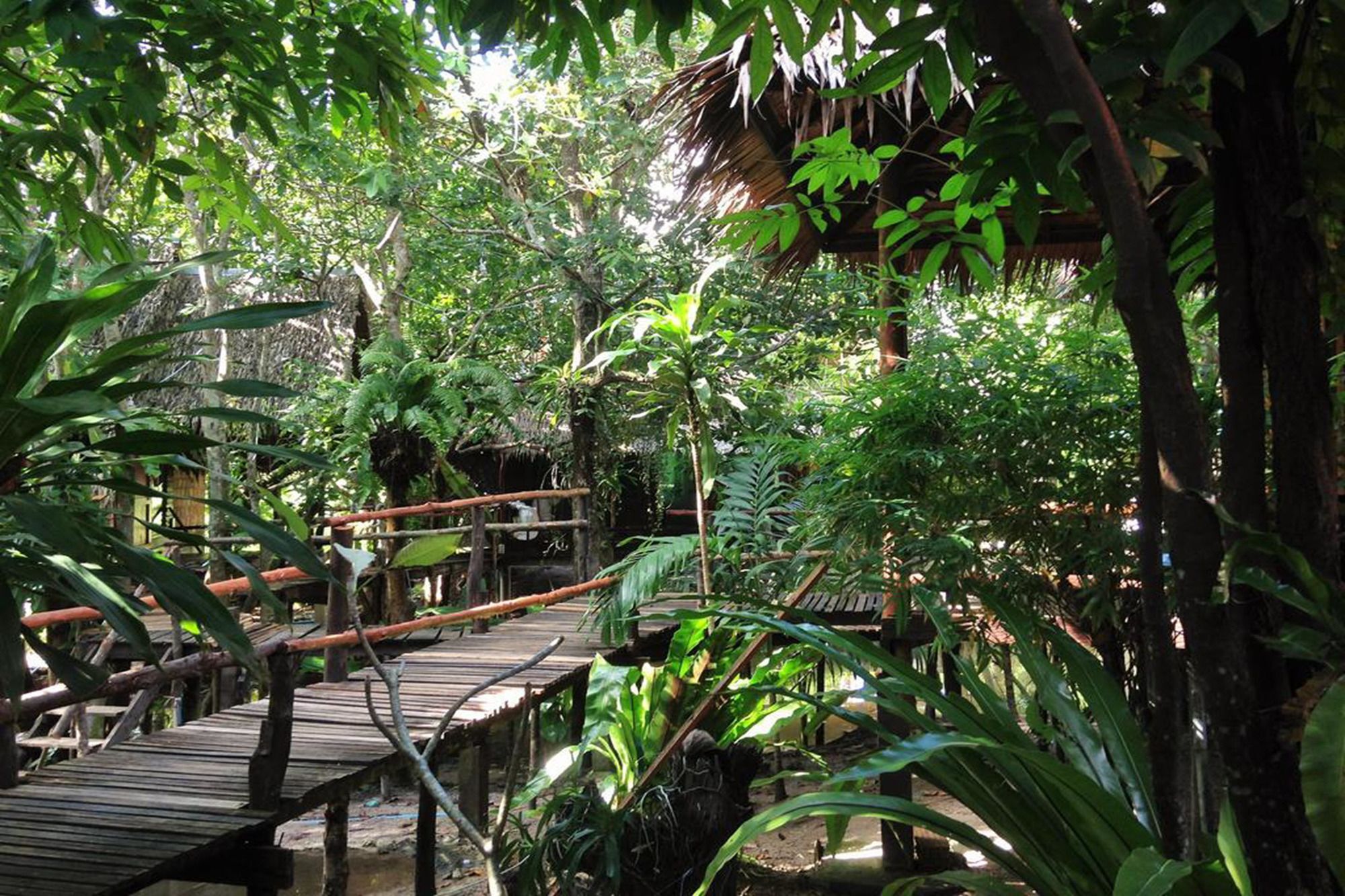 Mayom Garden (Adults Only) Ko Pha Ngan Dış mekan fotoğraf